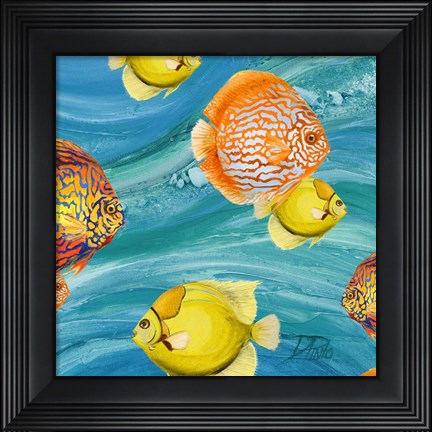 Framed Aquatic Sea Life I Print