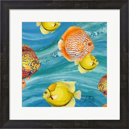 Framed Aquatic Sea Life I Print