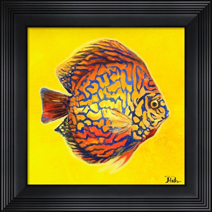 Framed Bright Aquatic Life I Print