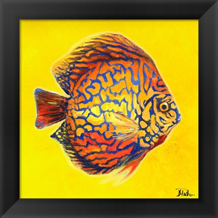 Framed Bright Aquatic Life I Print