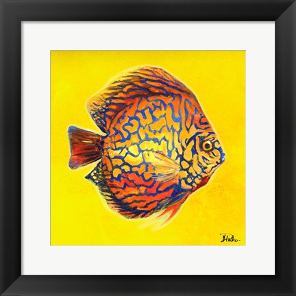 Framed Bright Aquatic Life I Print