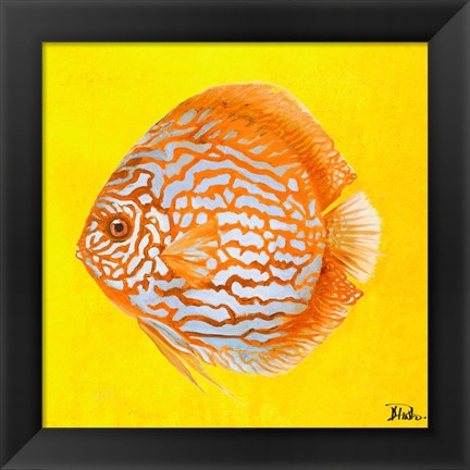 Framed Bright Aquatic Life IV Print