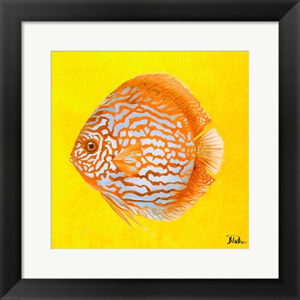 Framed Bright Aquatic Life IV Print