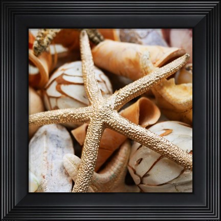 Framed Gold Starfish I Print