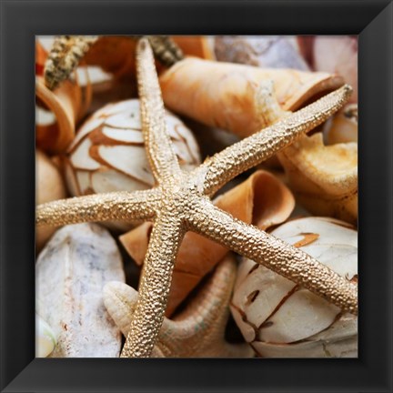 Framed Gold Starfish I Print