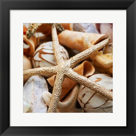 Framed Gold Starfish I Print