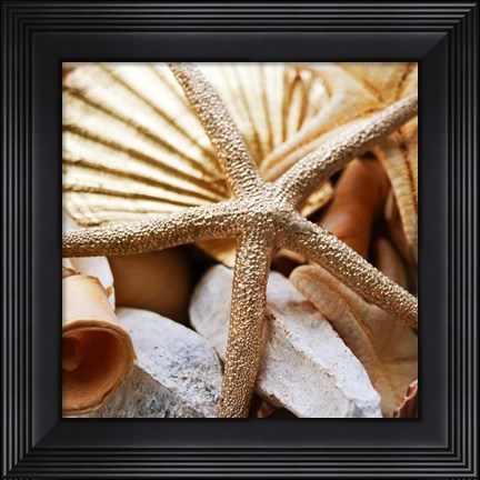 Framed Gold Starfish II Print