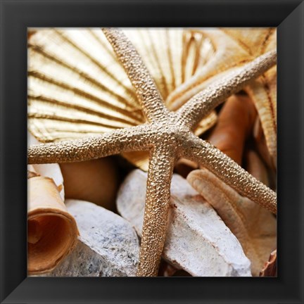 Framed Gold Starfish II Print