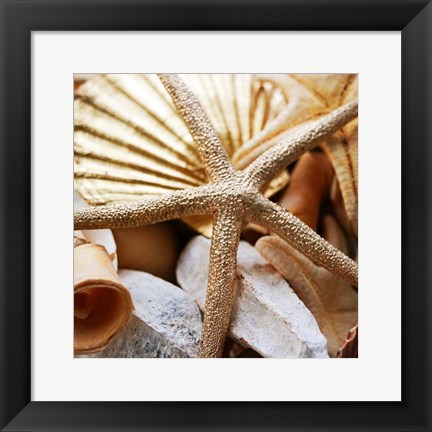 Framed Gold Starfish II Print