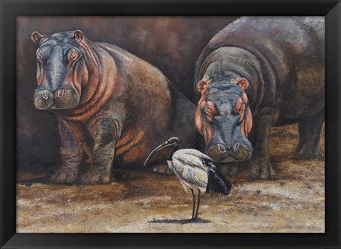 Framed Baby Hippos Print