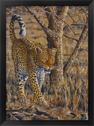 Framed Leopard Walking Print