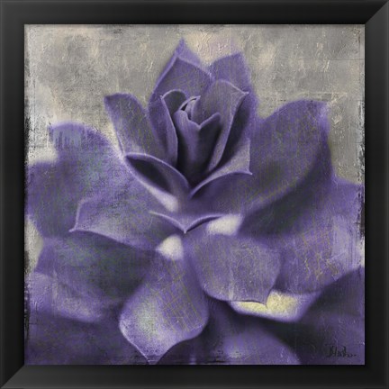 Framed Lavender Succulent I Print