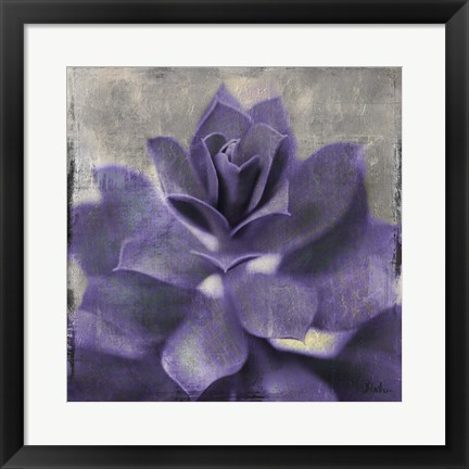 Framed Lavender Succulent I Print