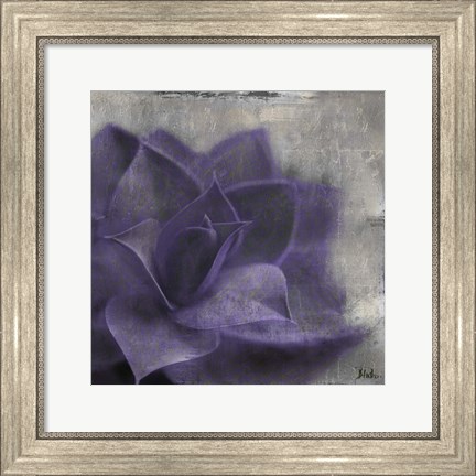 Framed Lavender Succulent II Print