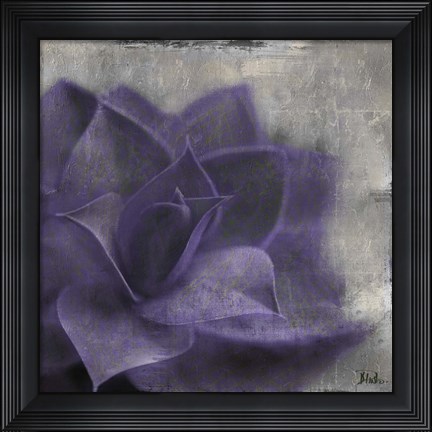 Framed Lavender Succulent II Print