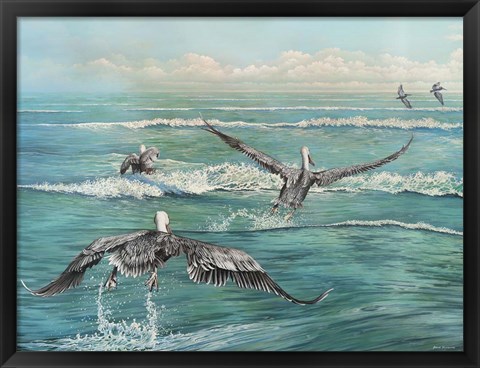 Framed Pelican Beach Print