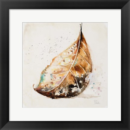 Framed Global Leaves II Print