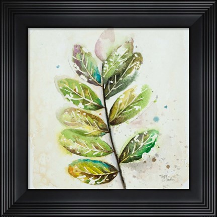 Framed Global Leaves III Print