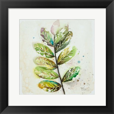 Framed Global Leaves III Print