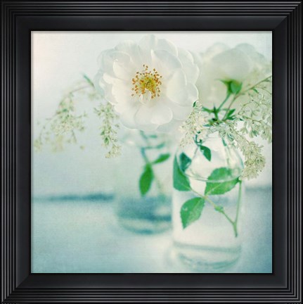 Framed White Peonies Print