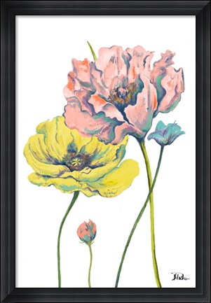 Framed Fresh Colored Poppies I Print
