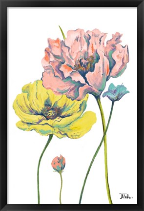 Framed Fresh Colored Poppies I Print