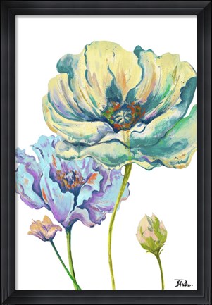 Framed Fresh Colored Poppies II Print