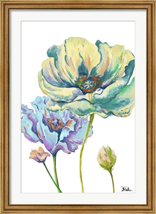 Framed Fresh Colored Poppies II Print