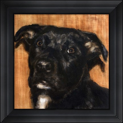 Framed Puppy Dog Eyes I Print
