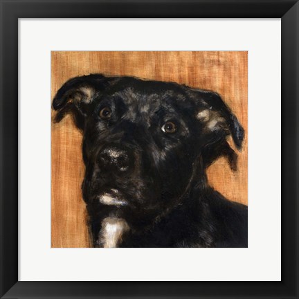 Framed Puppy Dog Eyes I Print