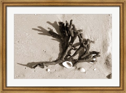 Framed Coral on Sand Print
