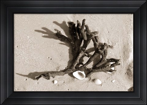 Framed Coral on Sand Print