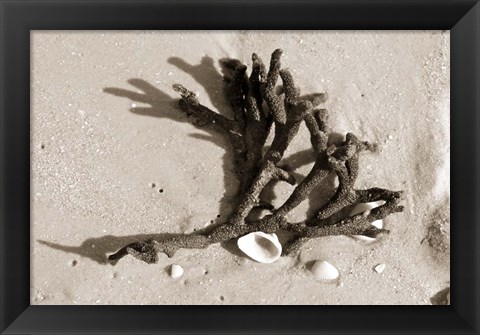 Framed Coral on Sand Print