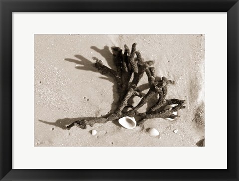 Framed Coral on Sand Print