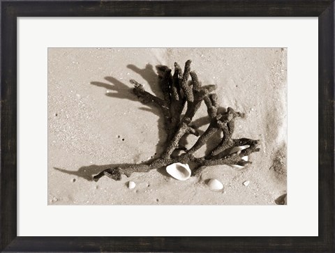 Framed Coral on Sand Print