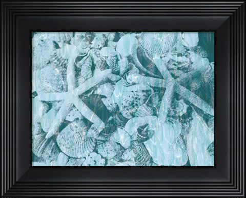 Framed East Coast Shells I Print