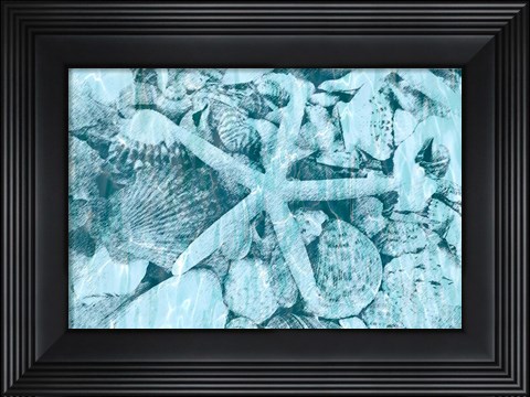 Framed East Coast Shells II Print