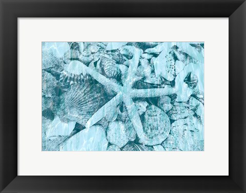 Framed East Coast Shells II Print