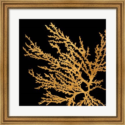Framed Coastal Coral on Black I Print