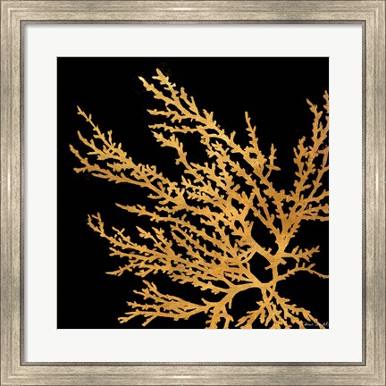 Framed Coastal Coral on Black I Print