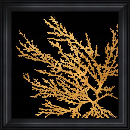 Framed Coastal Coral on Black I Print