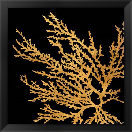 Framed Coastal Coral on Black I Print