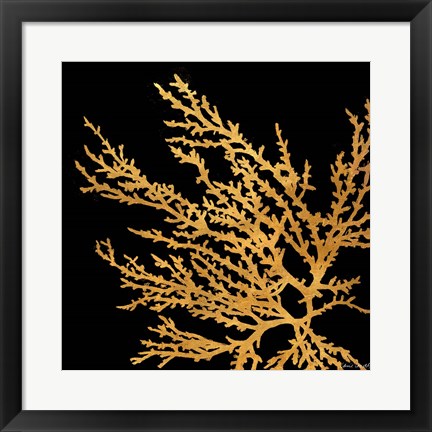 Framed Coastal Coral on Black I Print