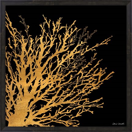 Framed Coastal Coral on Black II Print