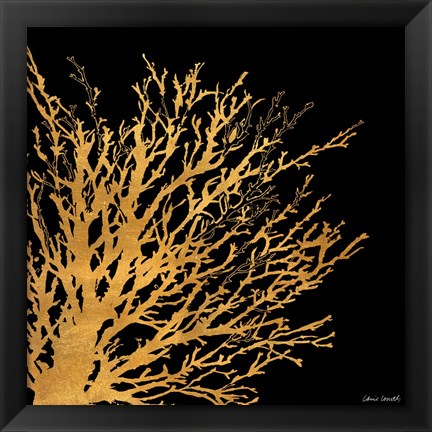 Framed Coastal Coral on Black II Print