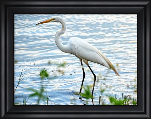 Framed By The Lake Egret Print