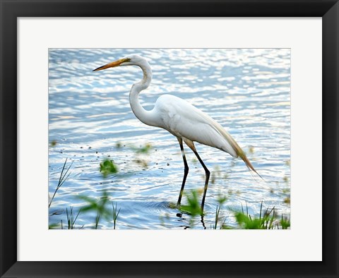 Framed By The Lake Egret Print