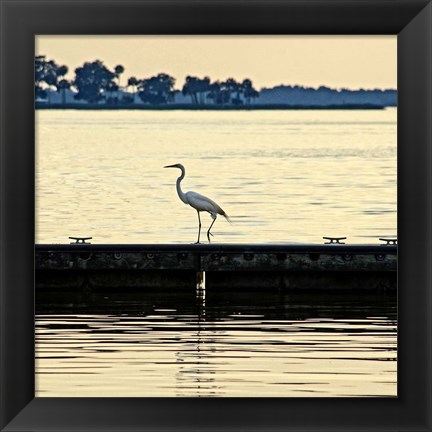 Framed Along The Pier Print