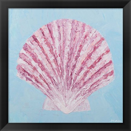 Framed Conch &amp; Scallop II Print