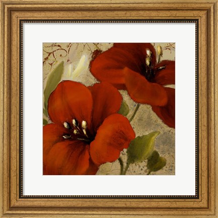 Framed Bahama Flower II Print